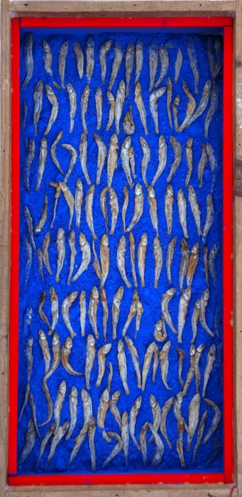Portugiesische Sardinen an Ultramarin, 2017 